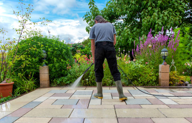 Best Driveway Pressure Washing  in Kekaha, HI